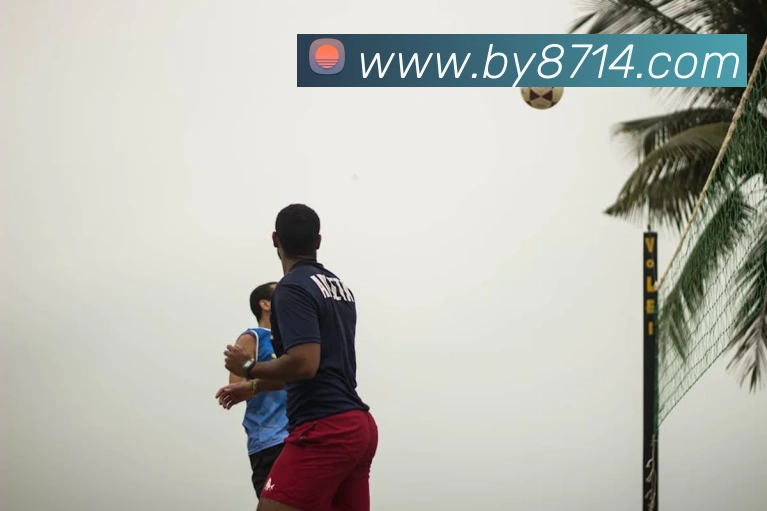 必赢官网体育服务体系